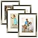 MCS 11x14 Gallery Picture Frame Matted to Display 8x10 Pictures Glass Front (Champagne)