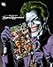 Books : Cover Story: The DC Comics Art of Brian Bolland