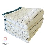 TRANPARAN 今治タオル GRボーダー フェイスタオル4枚セット (グリーン) TRANPARAN 今治タオル GRボーダー フェイスタオル4枚セット (グリーン)