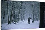 Canvas Prints of Man with umbrella and briefcase walks under bare trees in winter, with snow from Robert Harding