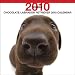 Labrador Retriever Chocolate 2010 Square Wall ARTLIST (The Dog Artlist Collection) (Multilingual Edition)