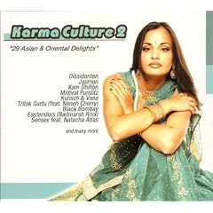 Karma Culture 2