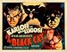 THE Black CAT Movie Poster Boris Karloff Rare Vintage 3
