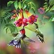 Summer Hummer, 1000 Piece