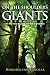 On The Shoulders Of Giants: 33 New Ways to Guide Yourself To Greatness
