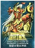 Saint Seiya Saint Cloth Myth Marina Chrysaor Krishna Action Figure Complete Set [W/ Krishna Metal Plate and One Myth Cloth Display Stand]