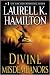 Divine Misdemeanors: A Novel (Meredith Gentry, Book 8)