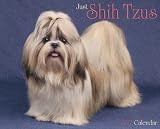 Just Shih Tzus 2012 Calendar