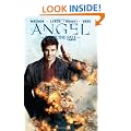 Angel: After the Fall Volume 4