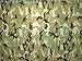 Kotap TCM-2030 Camouflage, Waterproof All-Purpose Multi-Use 7-mil Poly Tarp, 20 x 30 ft