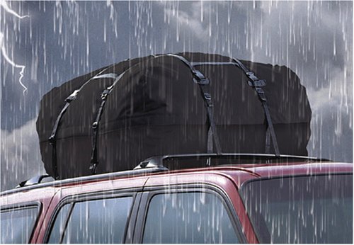 valentine Rain-X Roof Top Cargo CarrierB000CACMMM