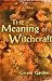 The Meaning of Witchcraft