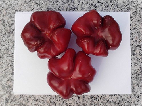 Hungarian Sweet Red Pepper 
