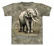 Asian Elephants The Mountain T Shirt