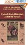 Field Dressing and Butchering Upland Birds, Waterfowl, and Wild Turkeys