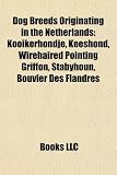 Dog Breeds Originating in the Netherlands: Kooikerhondje, Keeshond, Wirehaired Pointing Griffon, Stabyhoun, Bouvier Des Flandres