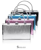 BG Matrix Metal Framed Evening Bag