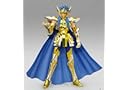 Galactic Nebula Ex Myth Cloth Aquarius Camus Saint Seiya figure + Hyoga head