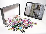 Photo Jigsaw Puzzle of Fur seals and king penguins, St. Andrews Bay, South Georgia, South Atlantic from Robert Harding