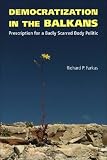 Democratization in the Balkans: Prescription for a Badly Scarred Body Politic (Northeastern Series on Democratization and Political Development)
