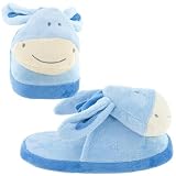 Blue Donkey Slippers for Women