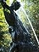 Close-up of Bronze Statue and Fountain in Mariatorget Square, Stockholm, Sweden Premium Photographic Poster Print by Nancy & Steve Ross, 30x40