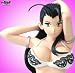 Ikki Tousen PVC Figure|Statue: Kakouen Myousai_s-2