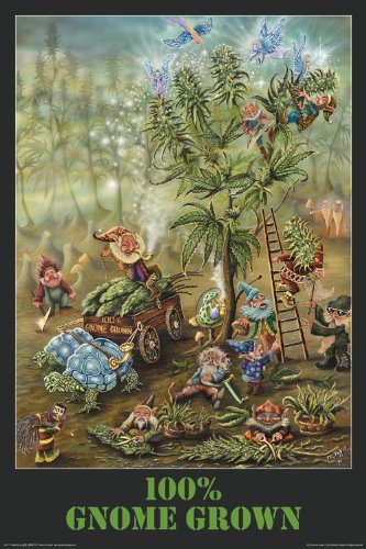 Gnome Grown Poster