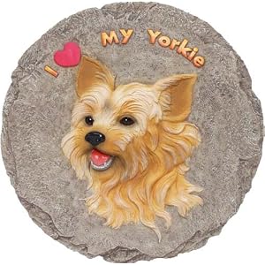 yorkshire terrier stepping stone