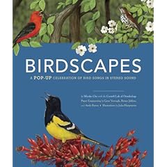 as well as the bird calls.