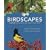 Birdscapes: A Pop-Up Celebration of Bird Songs in Stereo Sound