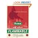 Sons and Other Flammable Objects: A Novel