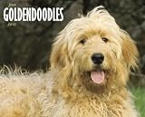 Just Goldendoodles 2012 Calendar (Just (Willow Creek))