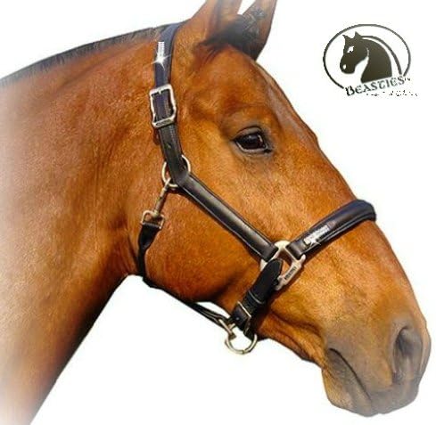 Leather Bling Crystal Show Halter (Black Leather, Cob/Horse)
