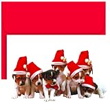Christmas Puppies Christmas Cards