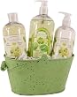 Linden Flower Tilleul Gift Basket from France: Shea butter shower gel, body lotion & liquid soap