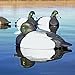 Hunting Gear Life-Size Blue-Bills (1/2 Dozen)
