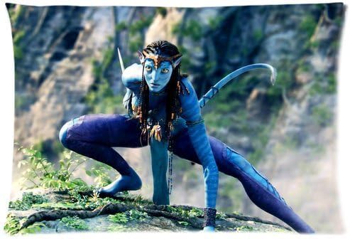 WXSTAR Soft And Comfortable Sci-fi Movie Avatar Custom Zippered Pillow Cases 20x30 (Twin sides)