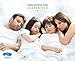 Utopia Bedding Queen 4pc Bed Sheet Set 100% Cotton - Light Blue
