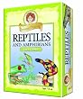 Prof. Noggin's Reptiles & Amphibians
