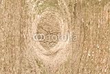 IMAGE OF Wallmonkeys Peel and Stick Wall Decals - Wood with Bough - 48