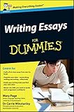 Writing essays for dummies