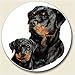 Kitchen & Housewares : Rottweiler puppy dog breed Auto Coaster, Single Coaster for Your Car cup holder