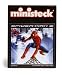 Ministeck Bricks 