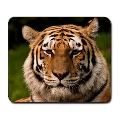 Large Mousepad of Bengal Tiger Cat Animal Wild Africa