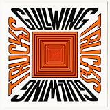Gullwing Trucks Old School / NOS Skateboard Sticker Rare in Orange