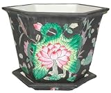 Lotus Blossom Planter with Saucer / Tray - Hand Painted, Matte Black Backrground