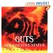 Guts: Our Digestive System