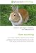 Hare coursing: Hare coursing, Greyhound, Greyhound racing, American Staghound, Borzoi, Black-tailed Jackrabbit, Lure coursing, Royal Society for the Prevention ... Whippet, Scottish Deerhound, Animal welfare