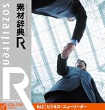�f�ގ��T[R(�A�[��)] 042 �r�W�l�X�E�j���[���[�_�[
